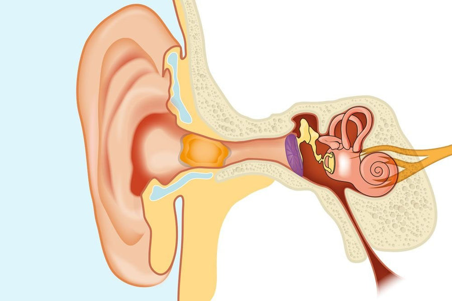 How Does Ear Wax Cause Memory Loss? Your Questions Answered...