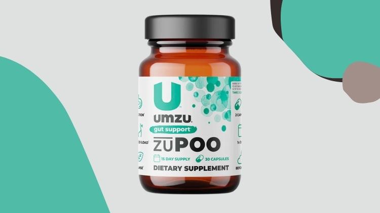 Zupoo Reviews: Everything You Need To Know (MUST READ)